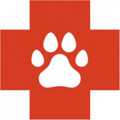 Advanced Veterinary Hospital (1322264)